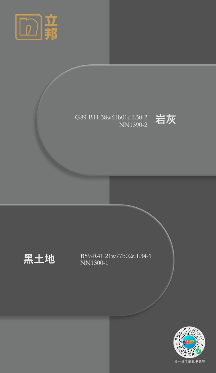 悦屋内墙岩灰实景效果图